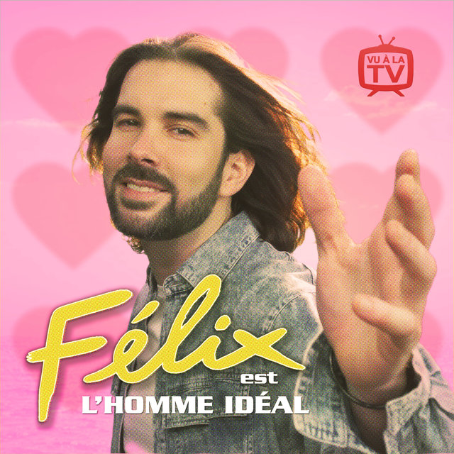 Couverture de L'homme idéal