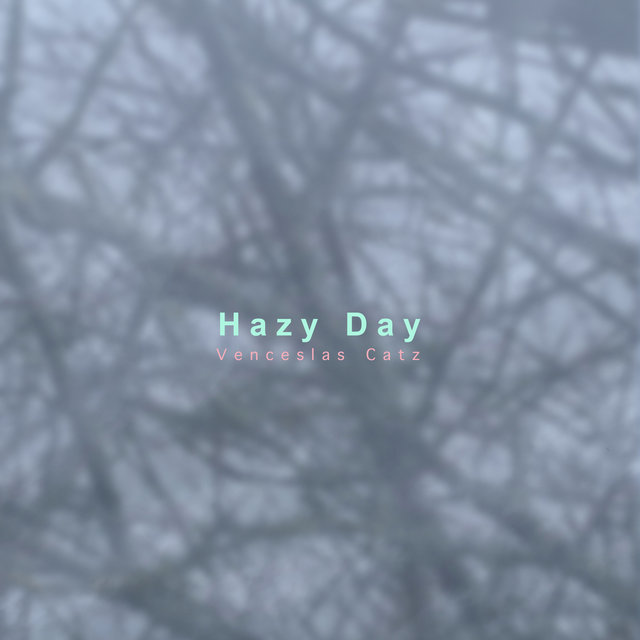 Couverture de Hazy Day