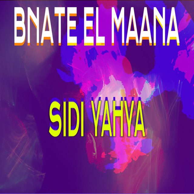 Couverture de Sidi Yahya