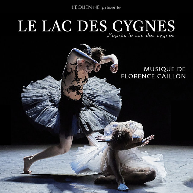 Couverture de Le lac des cygnes