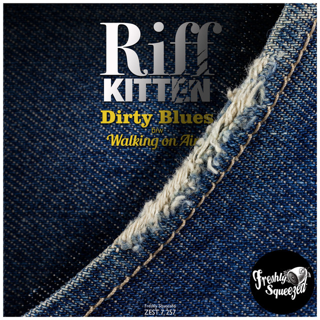 Couverture de Dirty Blues