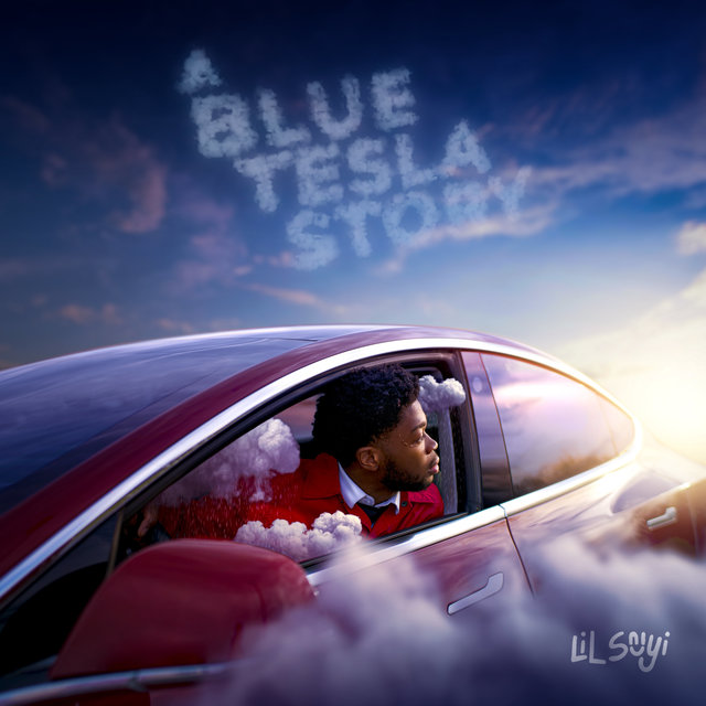 Couverture de A Blue Tesla Story