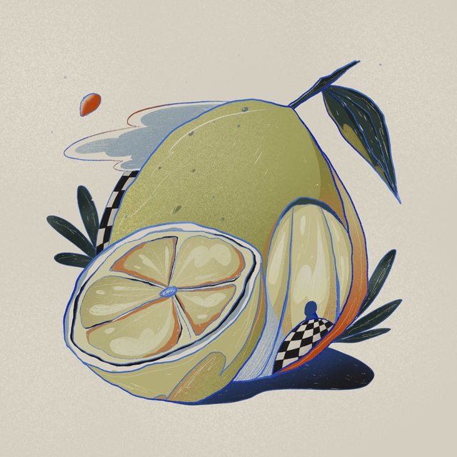 Couverture de Pomelo