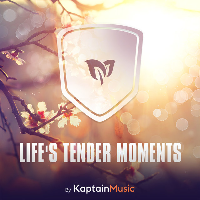 Couverture de Life's Tender Moments