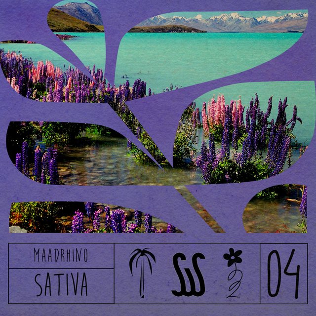 Couverture de Sativa