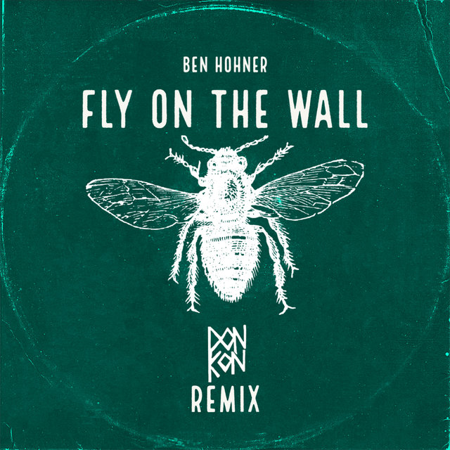 Couverture de Fly on the Wall