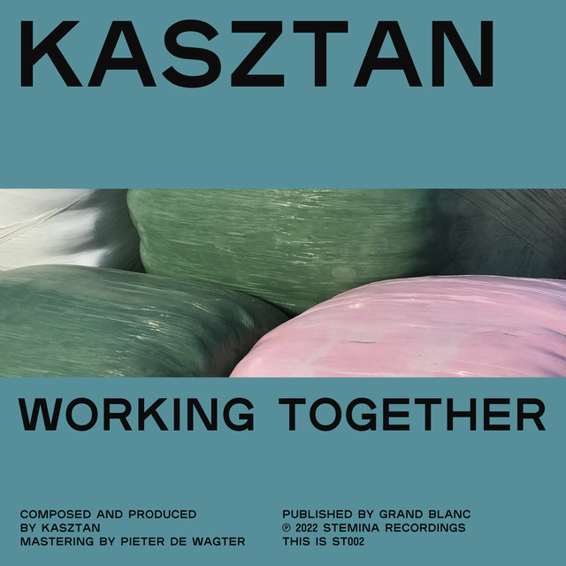 Couverture de Working Together