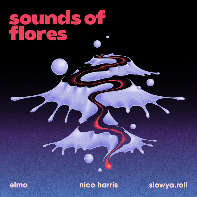 Couverture de Sounds of Flores