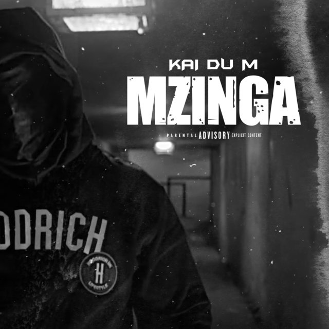 Couverture de Mzinga