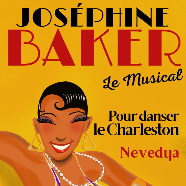 Couverture de Pour danser le Charleston