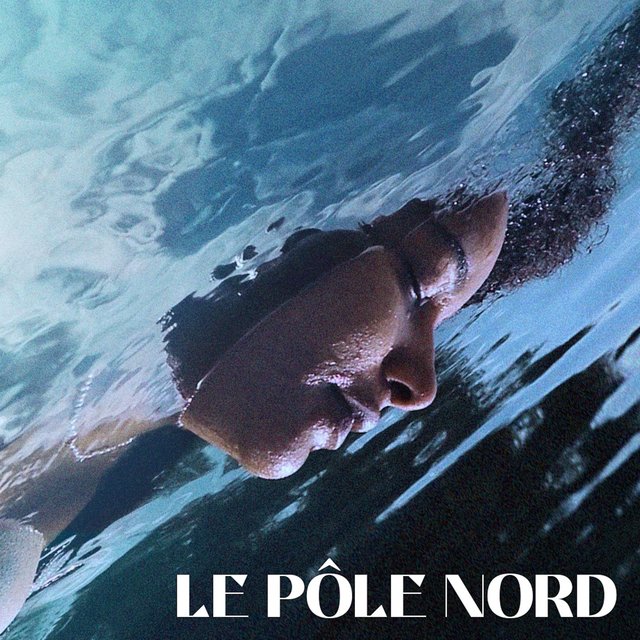 Le pôle Nord