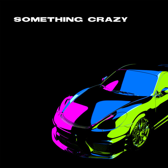 Couverture de Something Crazy