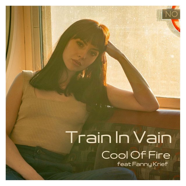 Couverture de Train in Vain