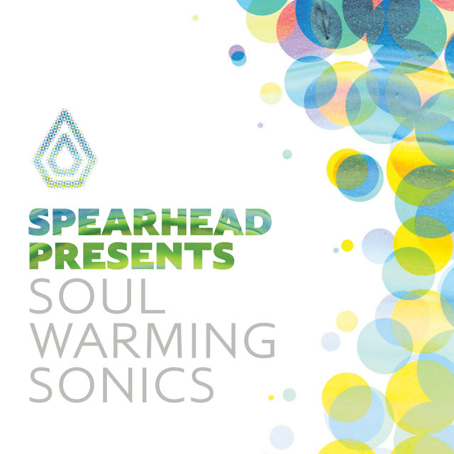 Couverture de Soul Warming Sonics