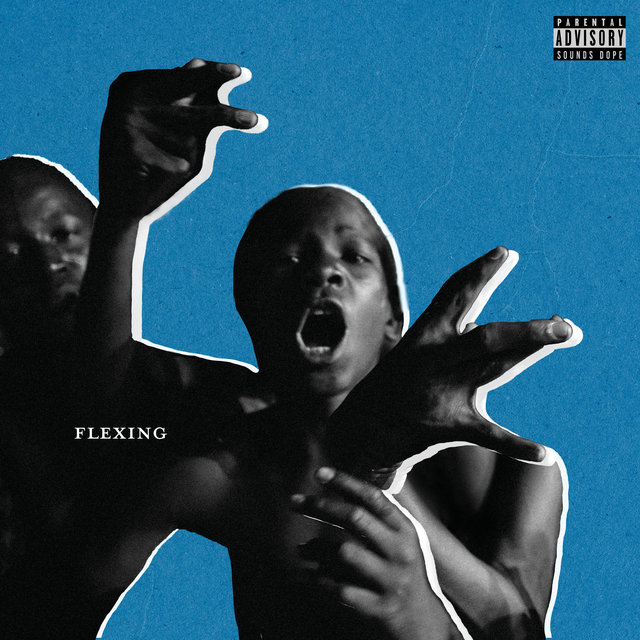 Couverture de Flexing