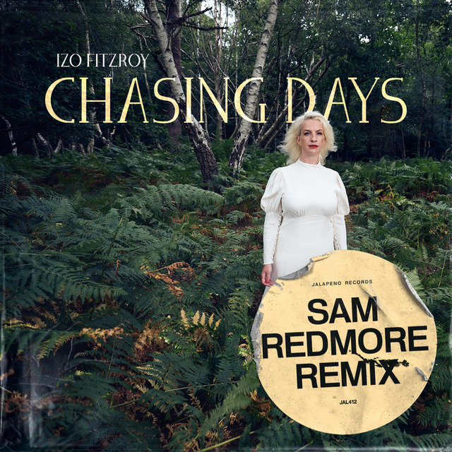 Couverture de Chasing Days