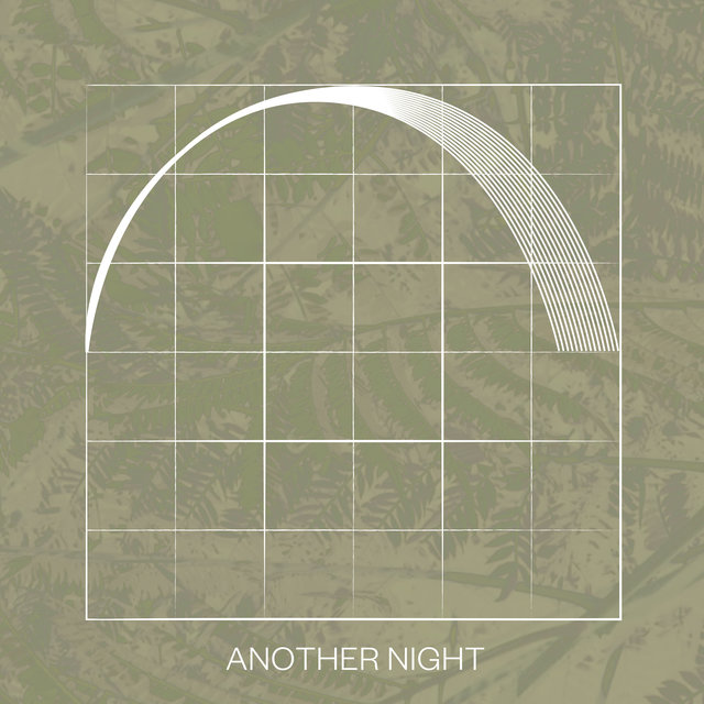 Couverture de Another Night