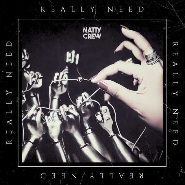 Couverture de Really Need