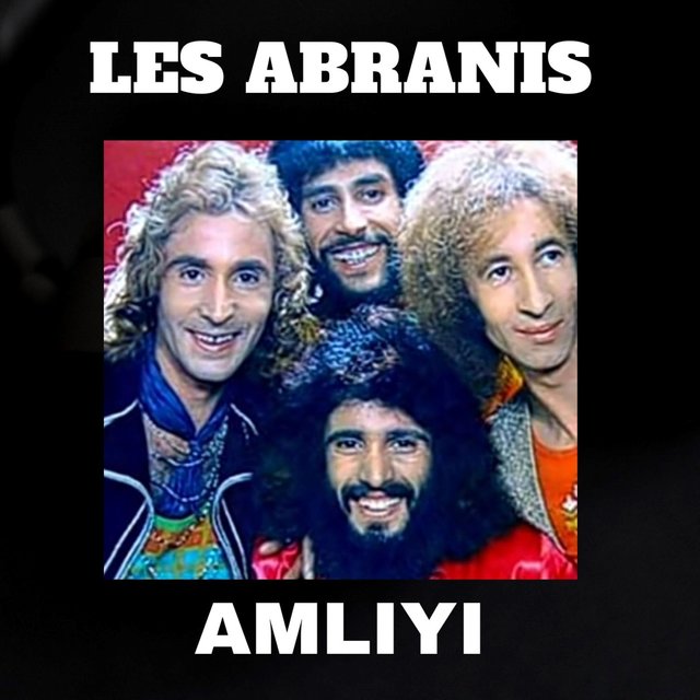 Couverture de Amliyi