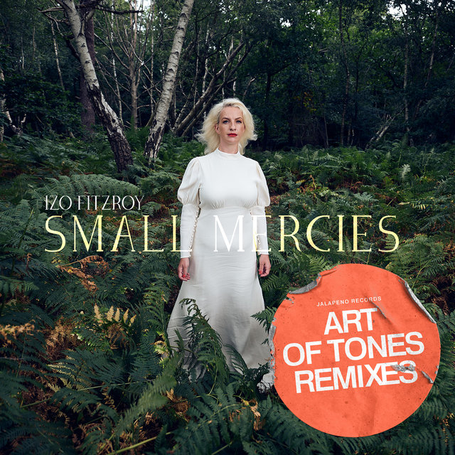 Couverture de Small Mercies