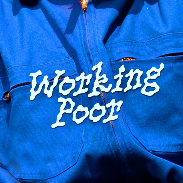 Couverture de Working Poor