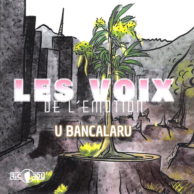 Couverture de U Bancalaru