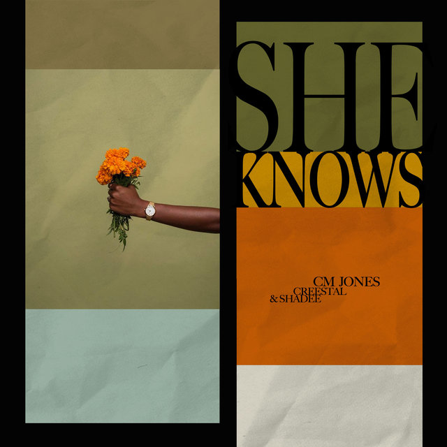 Couverture de She Knows