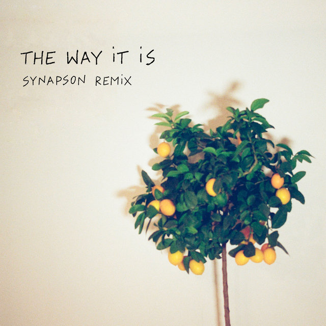 Couverture de The Way It Is