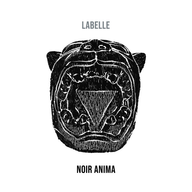 Couverture de NOIR ANIMA