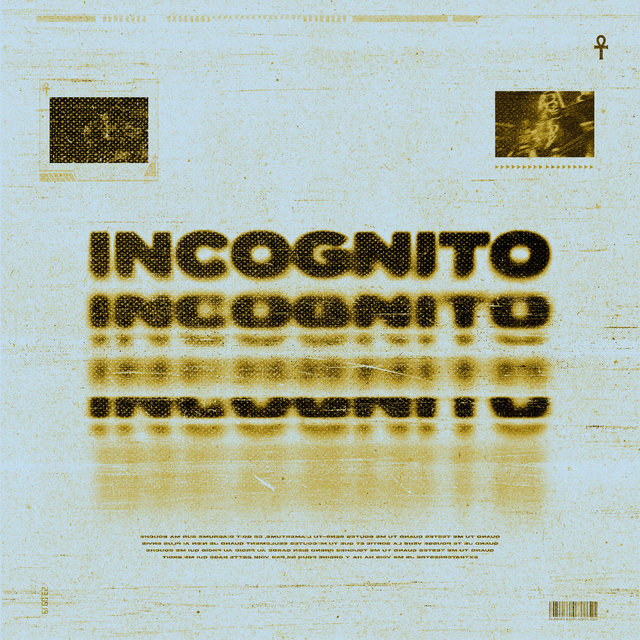 Couverture de Incognito