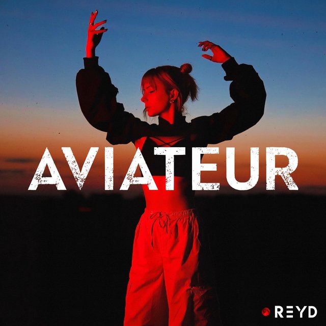 Couverture de Aviateur