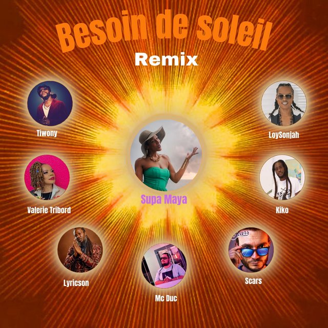 Couverture de Besoin de soleil