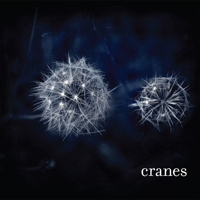 Couverture de Cranes