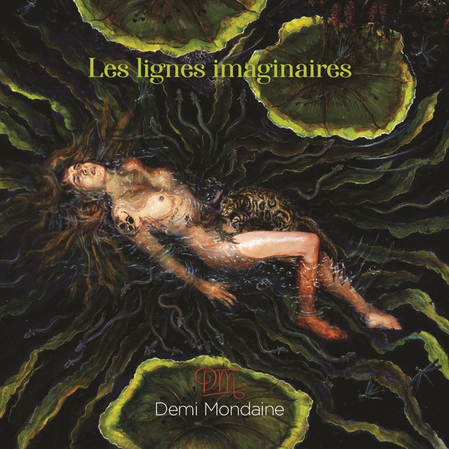 Couverture de Les lignes imaginaires