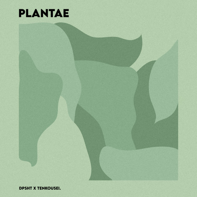 Couverture de Plantae