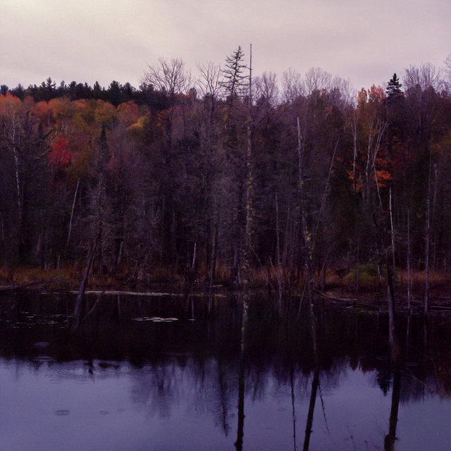 Couverture de Fall at Lake Taghkanic