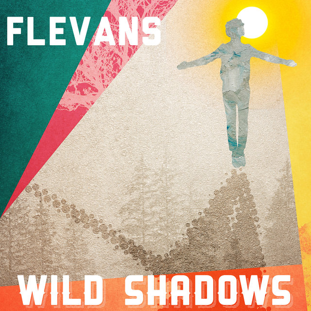 Couverture de Wild Shadows