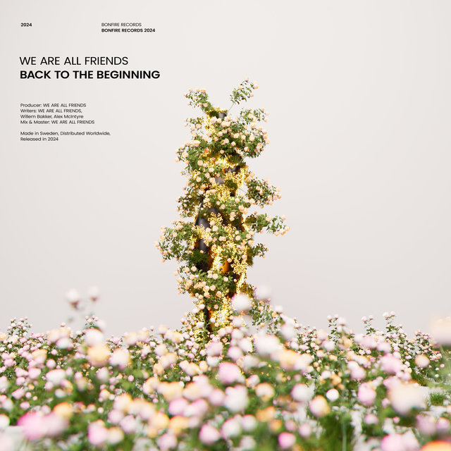 Couverture de BACK TO THE BEGINNING