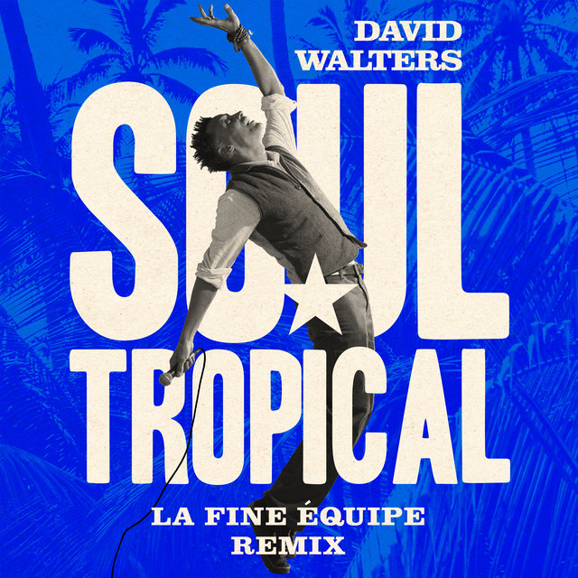 Couverture de Soul Tropical