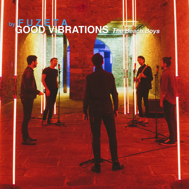 Couverture de Good Vibrations