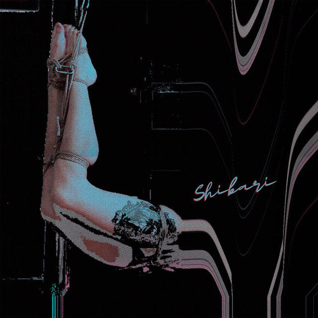 Couverture de Shibari