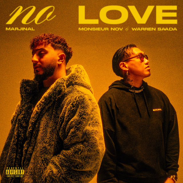 Couverture de No Love