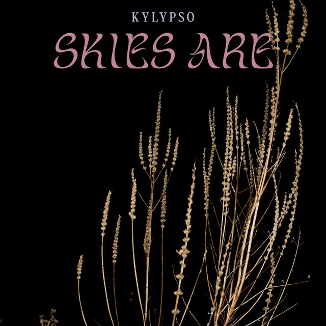 Couverture de Skies Are