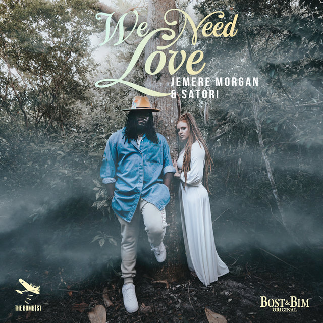 Couverture de We Need Love