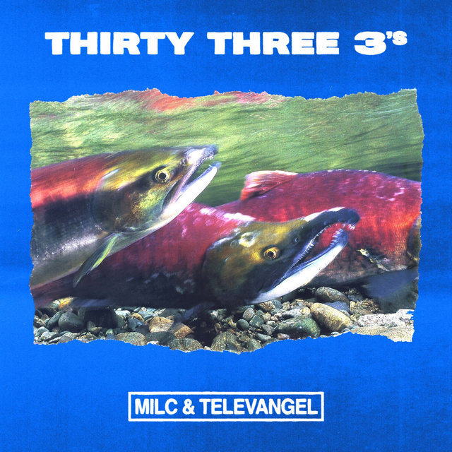 Couverture de Thirty Three 3's