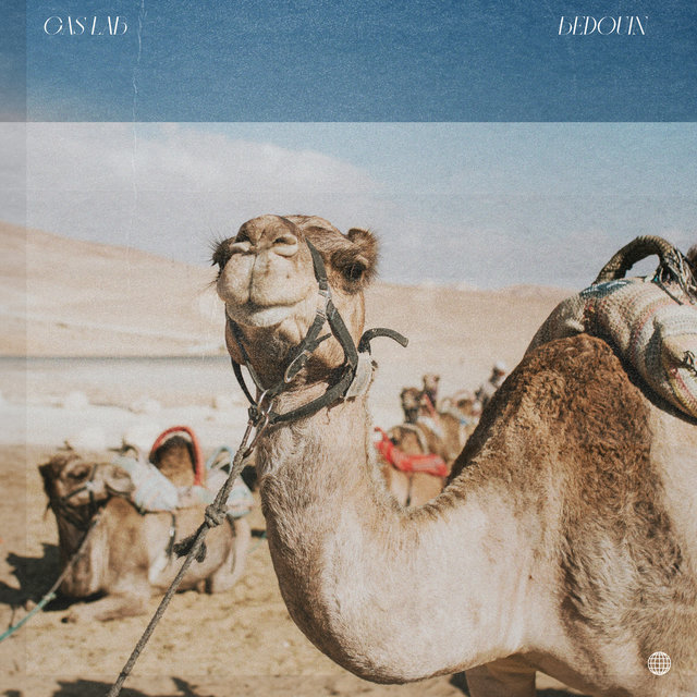 Couverture de Bedouin