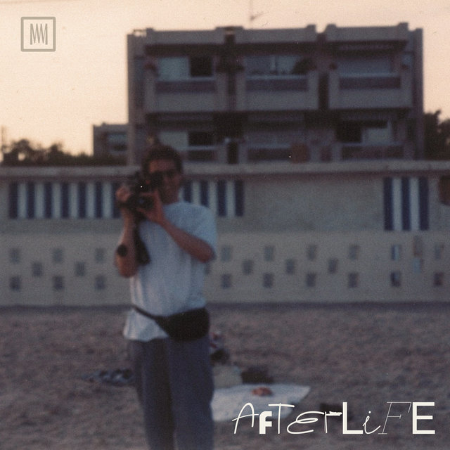 Couverture de Afterlife