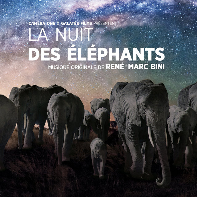 Couverture de La nuit des éléphants (Bande originale du film)