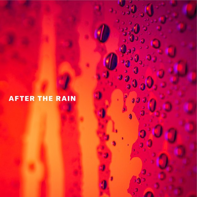 Couverture de After the Rain