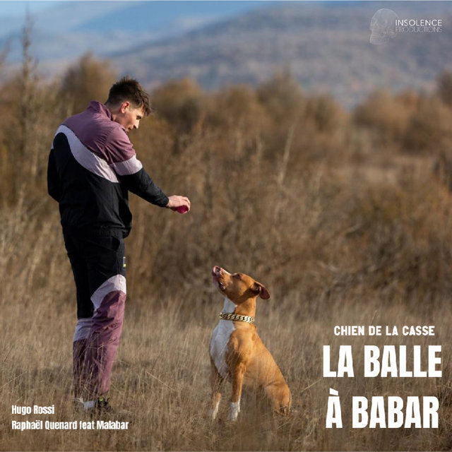 Couverture de La balle à Babar